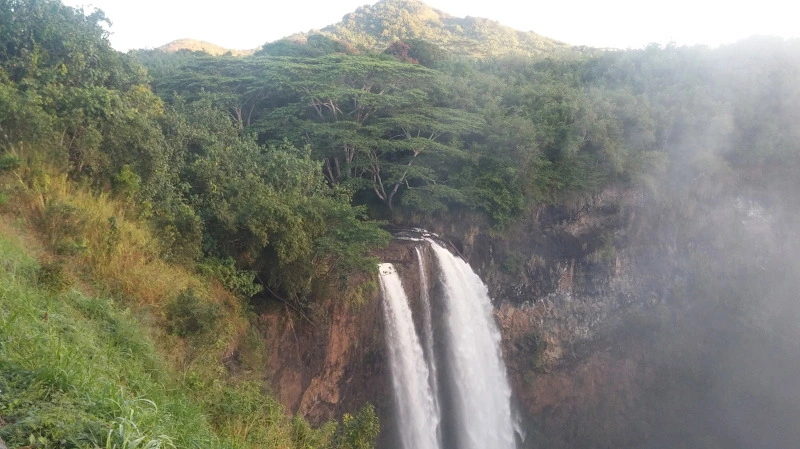 256BAA3958B5291B37A7C9