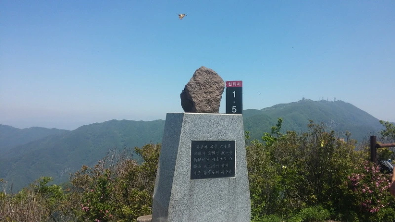 277EE94A573D6C5E2253E9