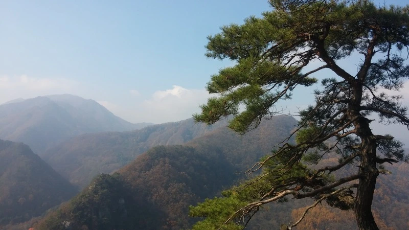 26464C4D5821C7CB0B8688