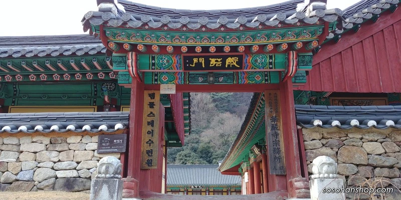 999FA04F5A3613DE2D7277