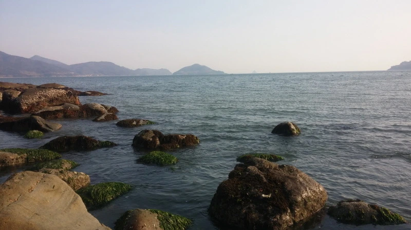 266D913C58B3719613D2CC