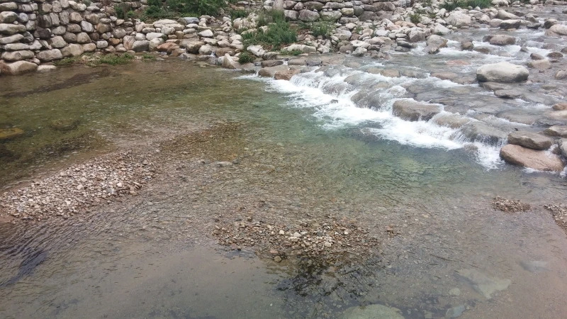 250A643C577F8D7F15B96A