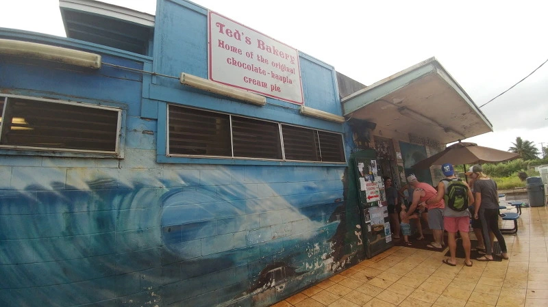 264D463E58B54D6A2BFC45