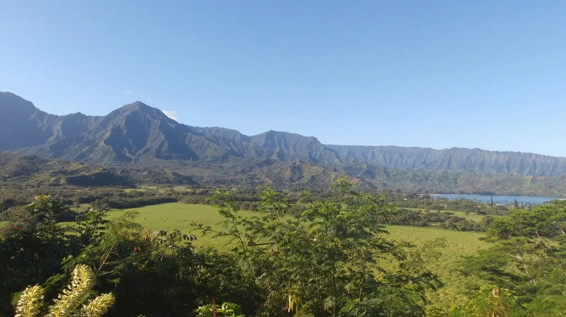 213EE53D58B52AE725E873