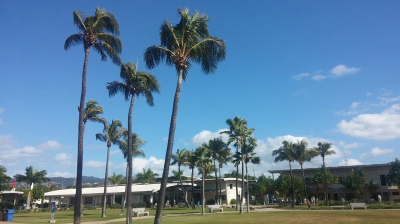 236F1B3858A8DFB5137EC6