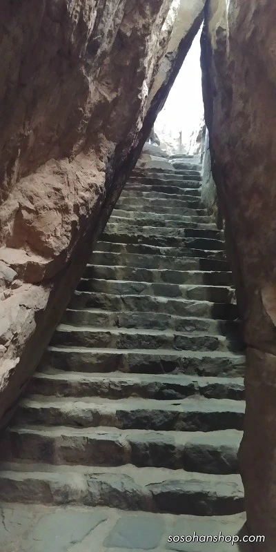 9969D44C5A36032C13830D