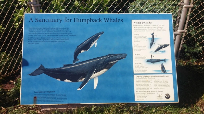 2571EF4358B52981296669