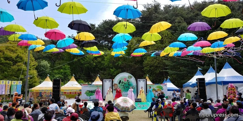 241E65455902E7A03BD7CC