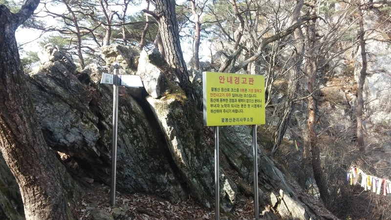 2610604B58359E55264810