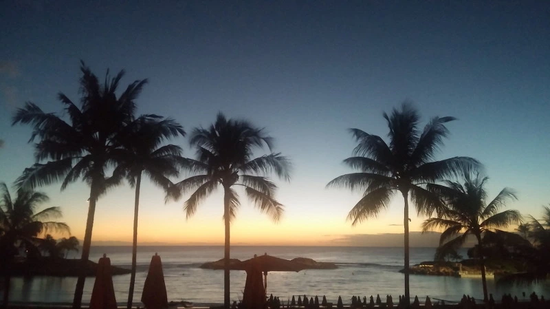 26512E4658B54C85089202