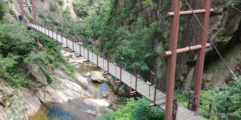 24689E41595CE7152F25D4