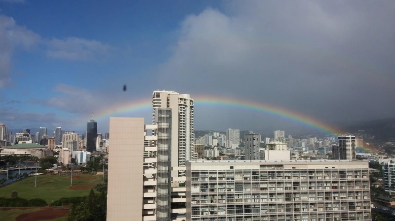 255CD04058B38433311426