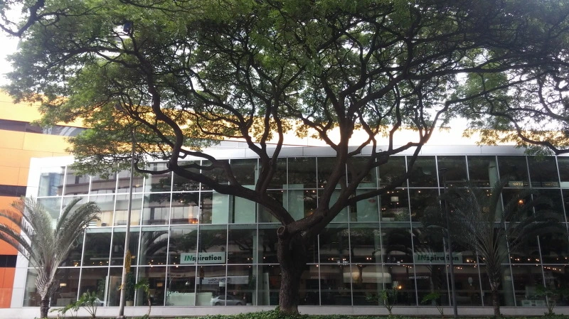 255A153758AA344D2E7380