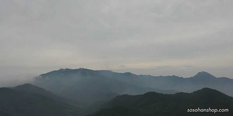 990CE033598BA369163589