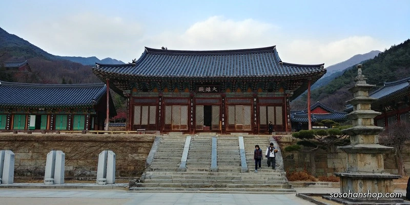 99D1A44E5A36145F05627E