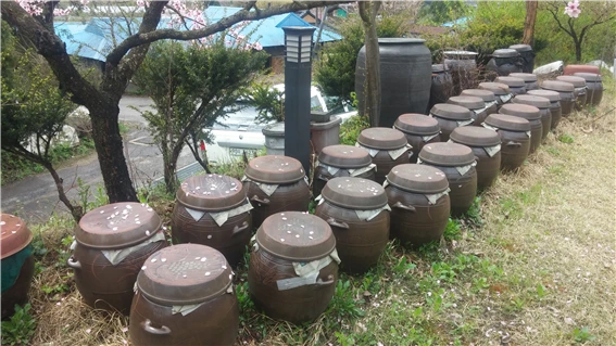 24108743574A489732BC44