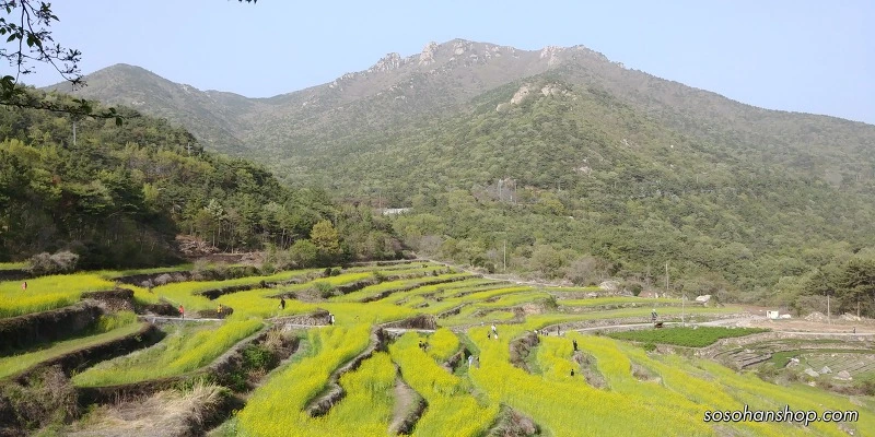 99694B405AD3F1DA328A86