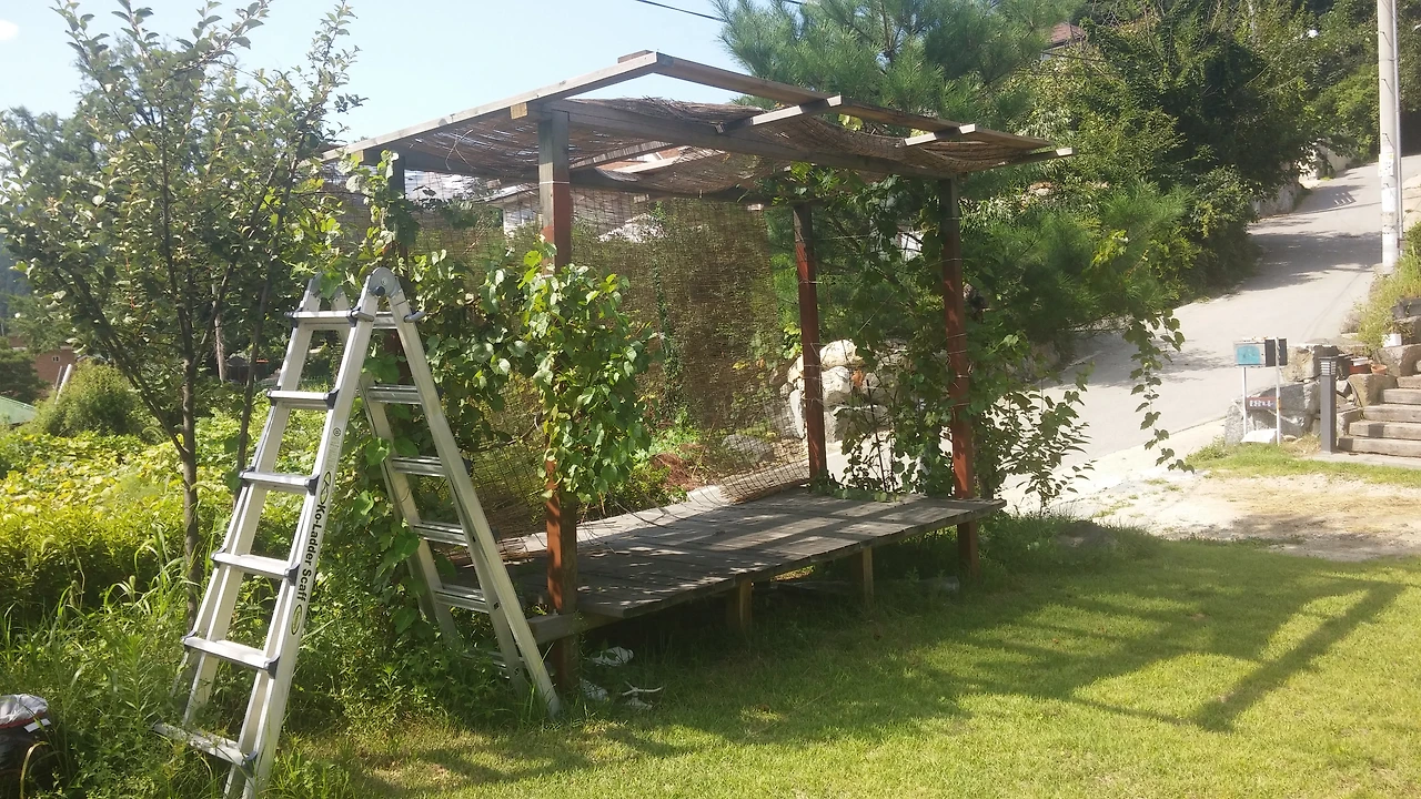 2015-08-18 14.56.37.jpg