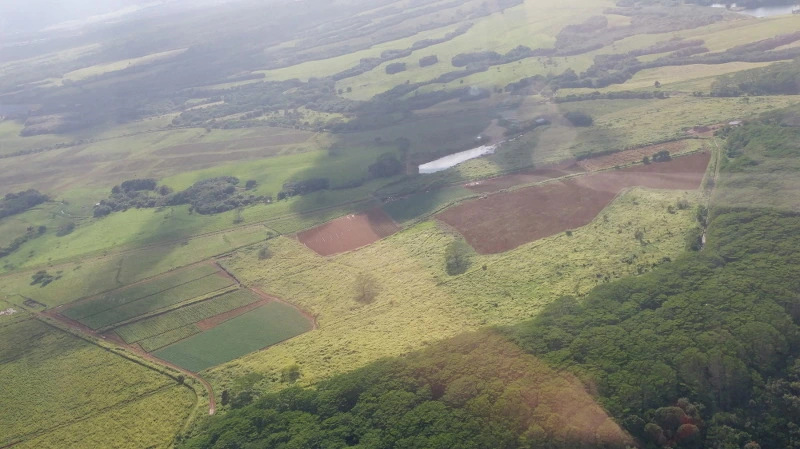 23332E4158B52CF2083503