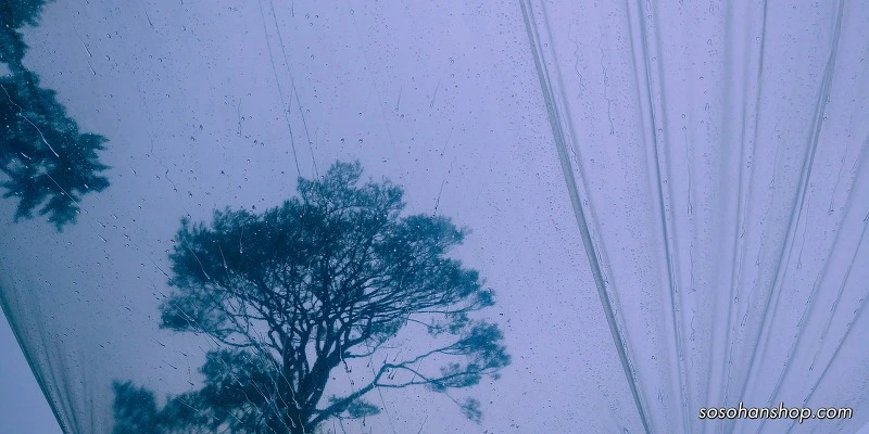 999755335992AD84112467