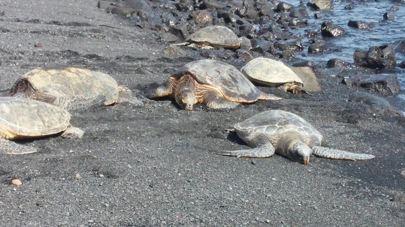 2120313458ABC0C50A5373