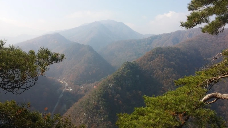 242B0F4D5821C7C82F827D