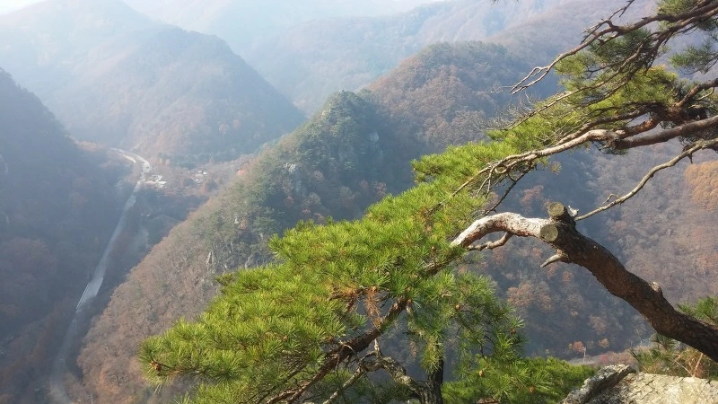 2237194D5821C7D11E17B9