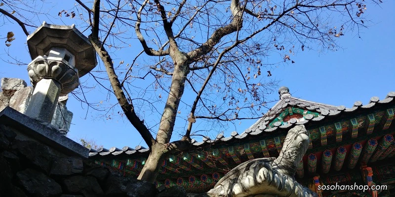 997390495A35FAA02DFB54