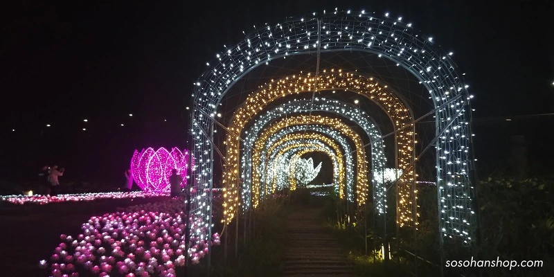 997AD63359AAB1B111C16A