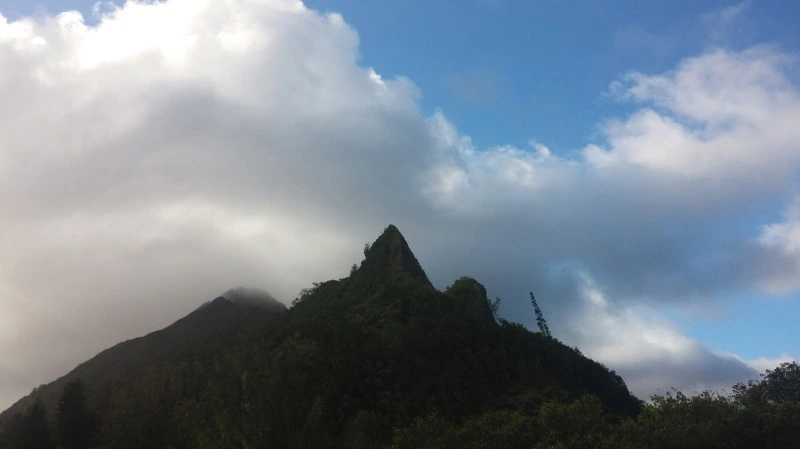 243E003D58B54C5C17D17F