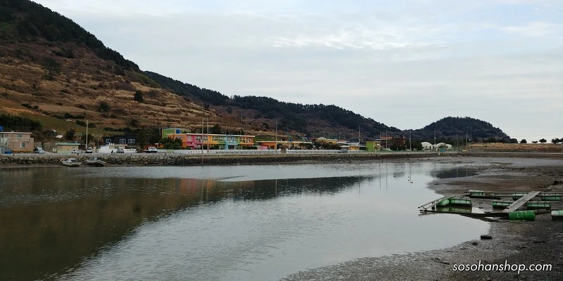 99BC934E5A35FBA4039768