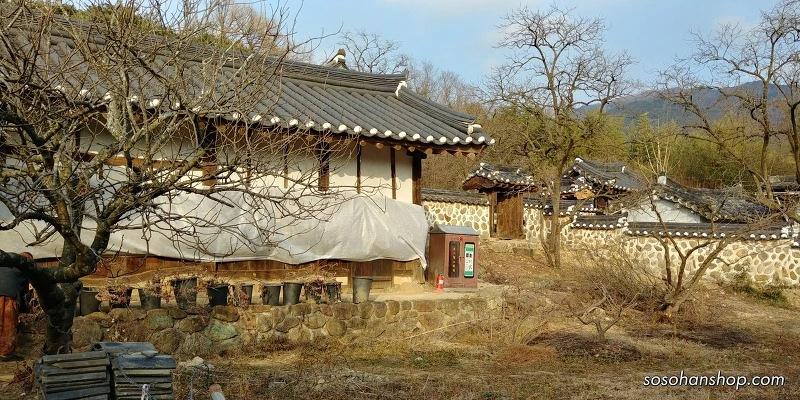 99B28B4E5A3613A80930DD