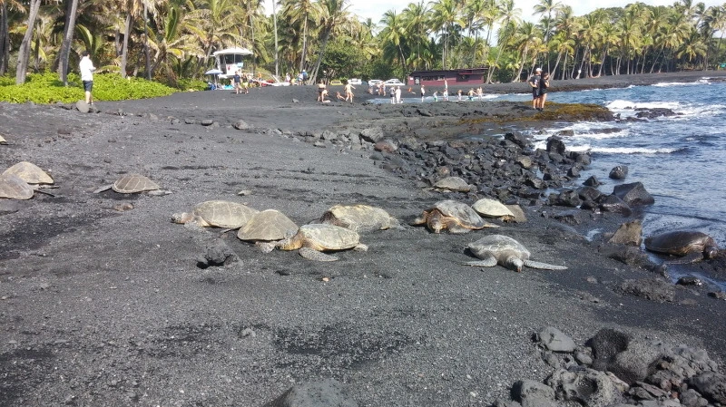 216BDE3458ABC0C40FC1C5