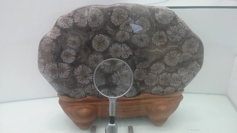 24534F3E57B9173522D88A