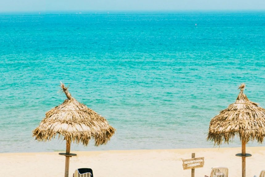 SE-6df09c09-7930-49f2-bc24-5795c2f2cdd0.jpg?type=w1