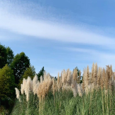 SE-6eace7af-1313-443c-8e88-d28444d68053.jpg?type=w1