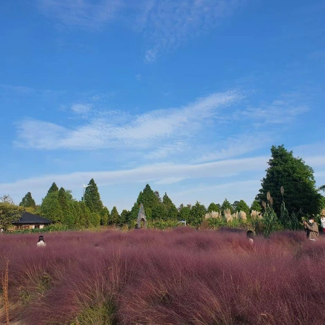 SE-11b79355-8708-4a9f-810c-0a7634d64d1b.jpg?type=w1