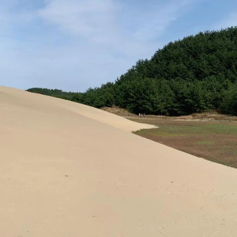 SE-29624403-4bc5-4c70-aa4a-7a5d9db3f9f4.jpg?type=w1