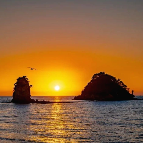 SE-f72584e7-81fb-4fc5-9ad2-33c0b4877ff7.jpg?type=w1