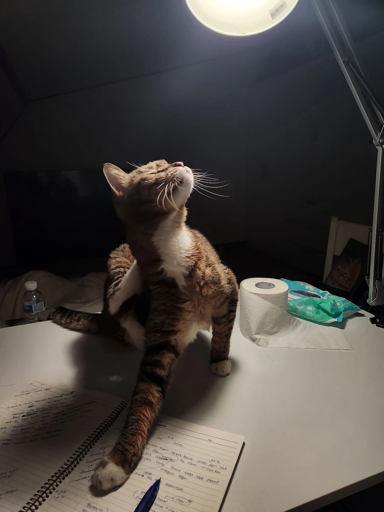 KakaoTalk_Photo_2024-06-24-13-15-24 (1).jpeg