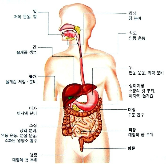 BandPhoto_2019_05_17_23_27_15.jpg?type=w2