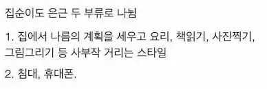 집순이 분류2.jfif