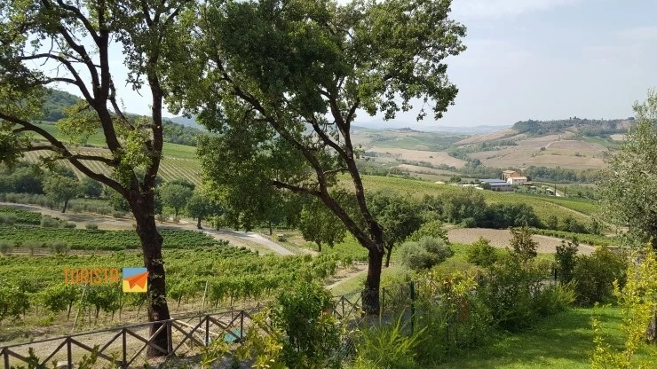 20170809_154831.jpg?type=w2