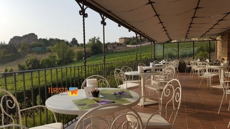 20170810_074354.jpg?type=w2