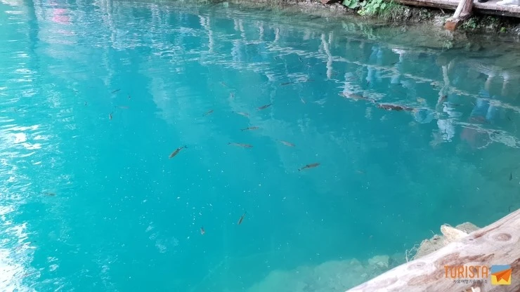 20180512_142753.jpg?type=w2