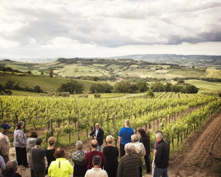 Wine-Tour-Experience.jpg?type=w2