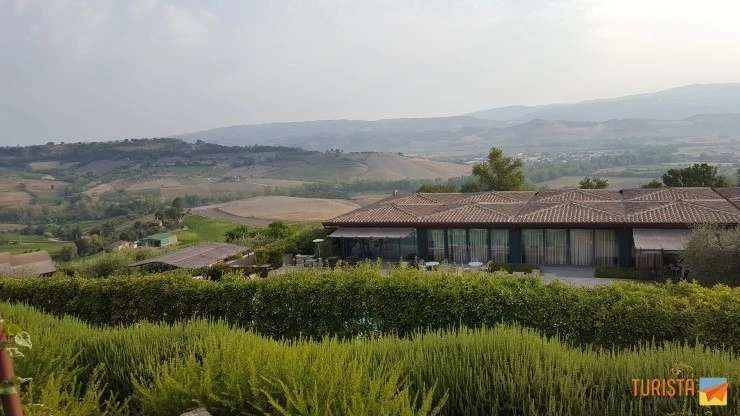 20170810_074603.jpg?type=w2