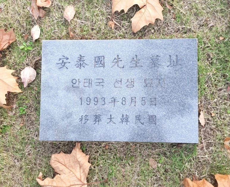 image_6739884311544164324792.jpg?type=w773