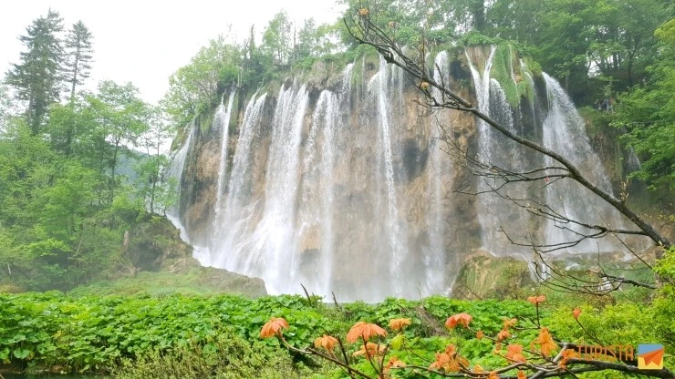 20180512_152225.jpg?type=w2