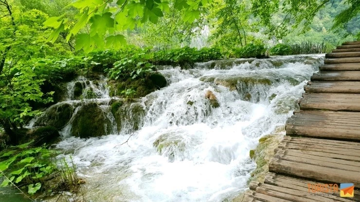 20180512_140456.jpg?type=w2